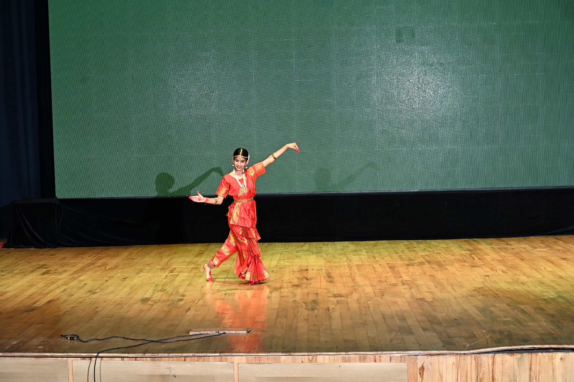 Bathinda Film Festival